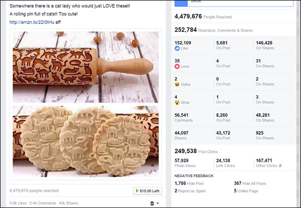organic post about cat rolling pin